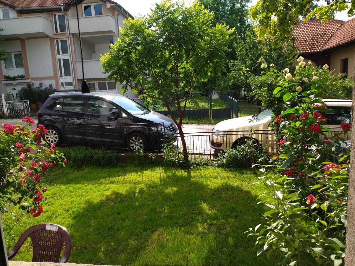 Vila Lenka Sokobanja Экстерьер фото