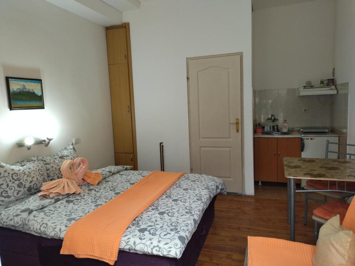 Vila Lenka Sokobanja Экстерьер фото