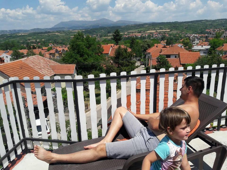 Vila Lenka Sokobanja Экстерьер фото