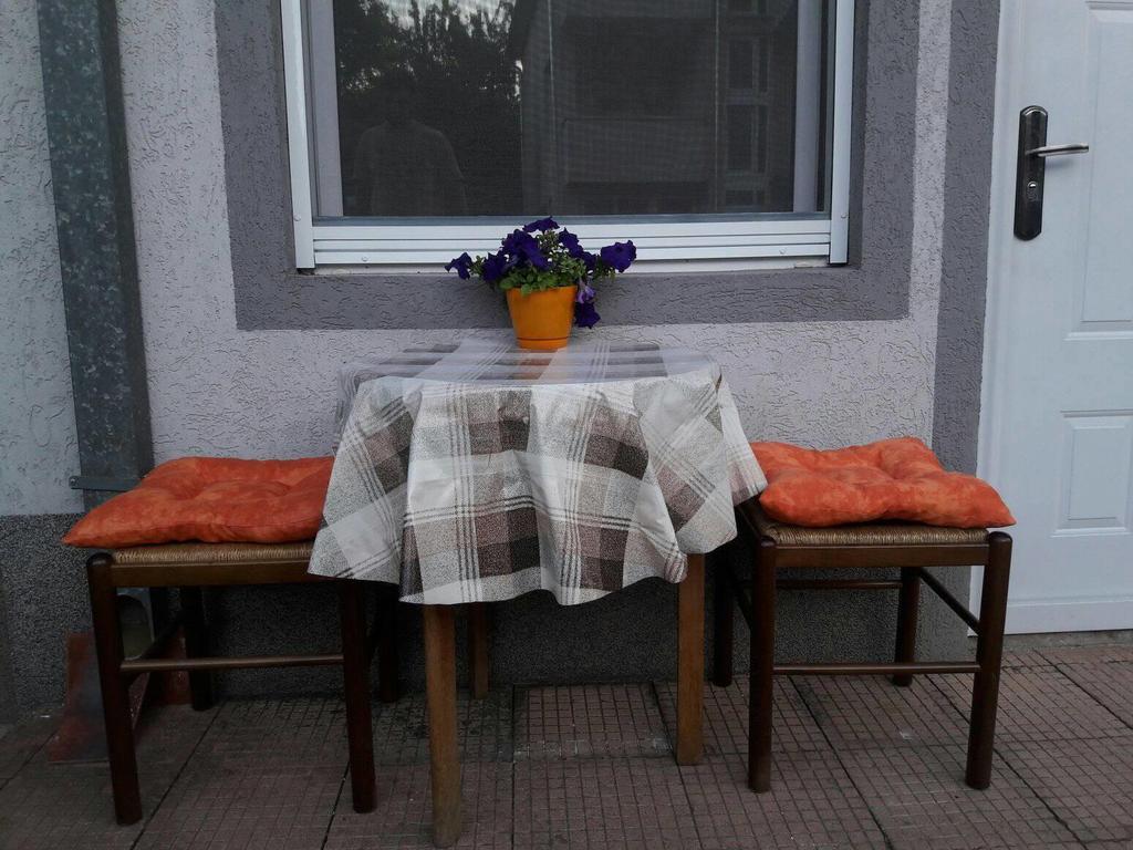 Vila Lenka Sokobanja Экстерьер фото