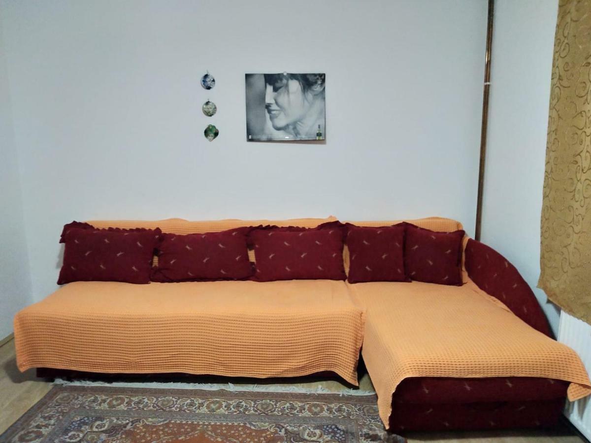 Vila Lenka Sokobanja Экстерьер фото